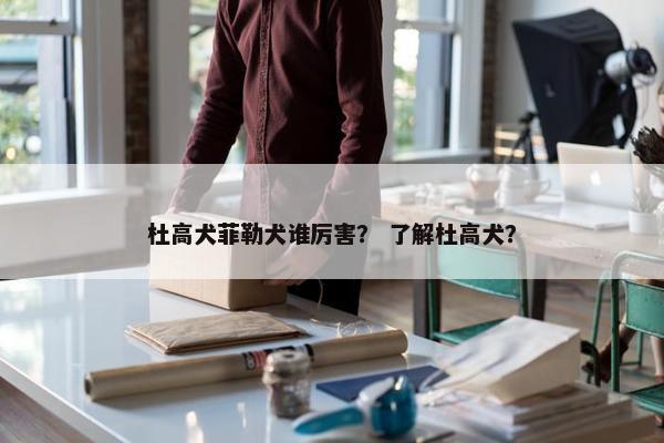 杜高犬菲勒犬谁厉害？ 了解杜高犬？