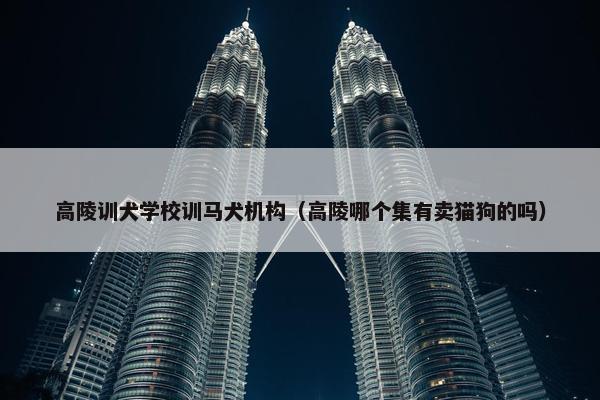 高陵训犬学校训马犬机构（高陵哪个集有卖猫狗的吗）