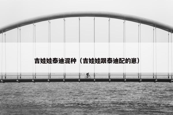 吉娃娃泰迪混种（吉娃娃跟泰迪配的崽）