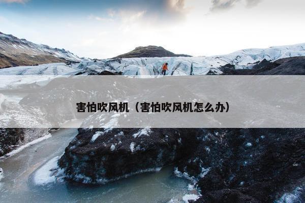 害怕吹风机（害怕吹风机怎么办）