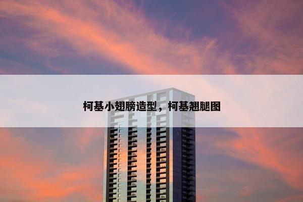 柯基小翅膀造型，柯基翘腿图