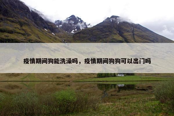 疫情期间狗能洗澡吗，疫情期间狗狗可以出门吗