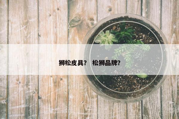 狮松皮具？ 松狮品牌？