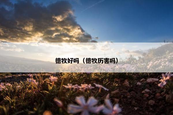德牧好吗（德牧历害吗）
