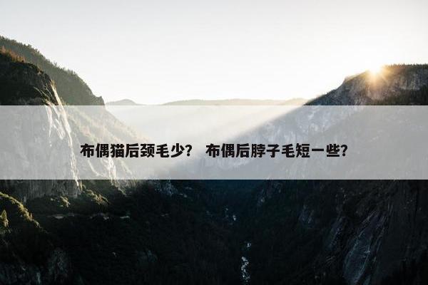 布偶猫后颈毛少？ 布偶后脖子毛短一些？