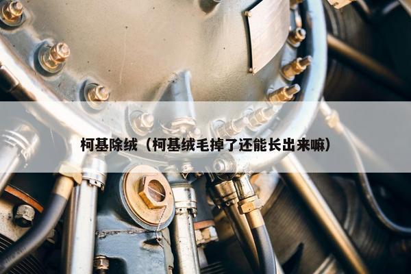 柯基除绒（柯基绒毛掉了还能长出来嘛）