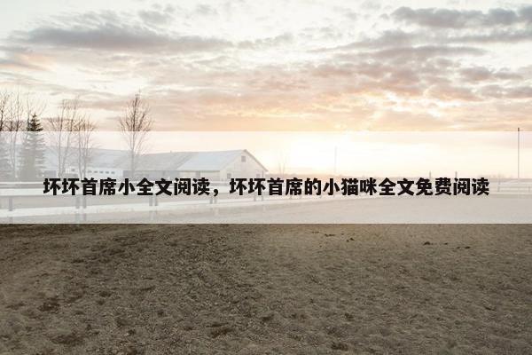 坏坏首席小全文阅读，坏坏首席的小猫咪全文免费阅读