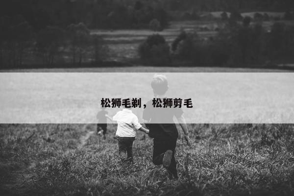 松狮毛剃，松狮剪毛