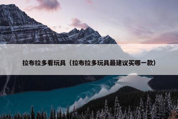 拉布拉多看玩具（拉布拉多玩具最建议买哪一款）