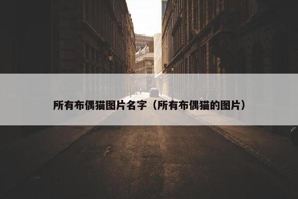 所有布偶猫图片名字（所有布偶猫的图片）