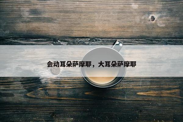 会动耳朵萨摩耶，大耳朵萨摩耶