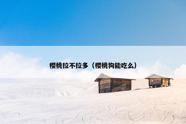 樱桃拉不拉多（樱桃狗能吃么）