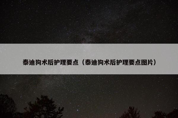 泰迪狗术后护理要点（泰迪狗术后护理要点图片）