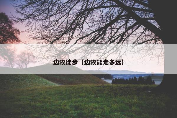 边牧徒步（边牧能走多远）
