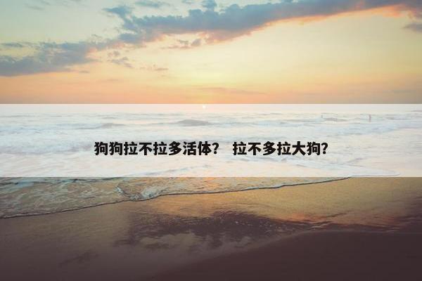 狗狗拉不拉多活体？ 拉不多拉大狗？