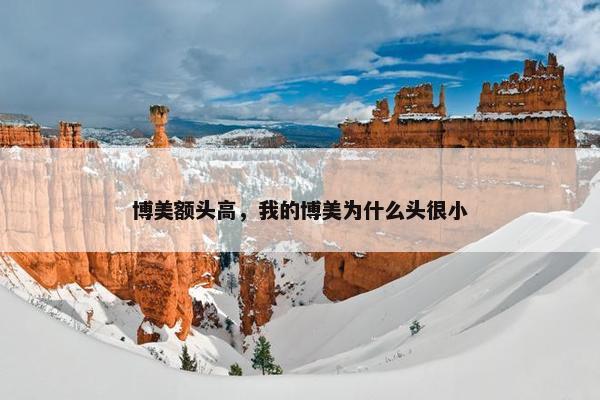 博美额头高，我的博美为什么头很小