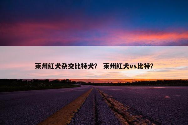 莱州红犬杂交比特犬？ 莱州红犬vs比特？