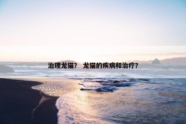 治理龙猫？ 龙猫的疾病和治疗？