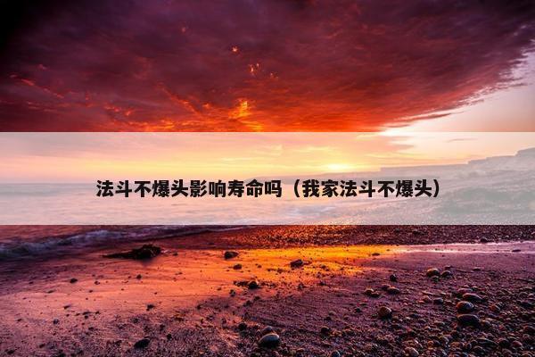 法斗不爆头影响寿命吗（我家法斗不爆头）