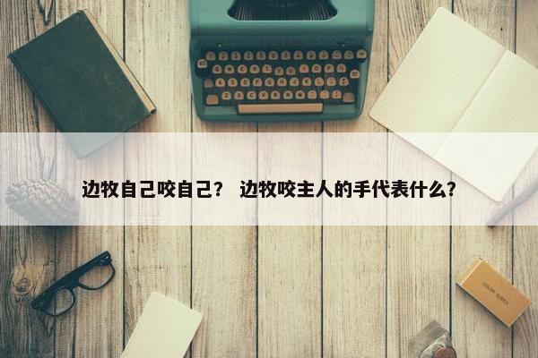 边牧自己咬自己？ 边牧咬主人的手代表什么？