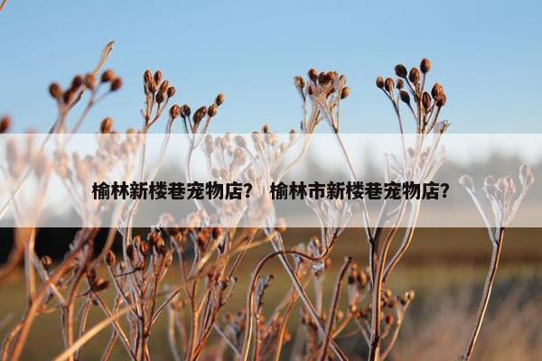 榆林新楼巷宠物店？ 榆林市新楼巷宠物店？