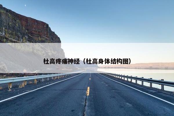 杜高疼痛神经（杜高身体结构图）