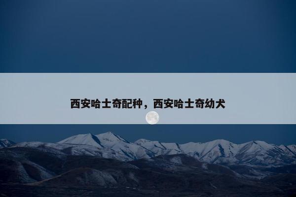西安哈士奇配种，西安哈士奇幼犬
