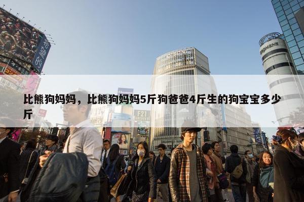 比熊狗妈妈，比熊狗妈妈5斤狗爸爸4斤生的狗宝宝多少斤