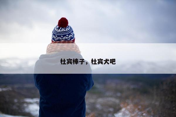 杜宾棒子，杜宾犬吧