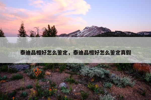 泰迪品相好怎么鉴定，泰迪品相好怎么鉴定真假