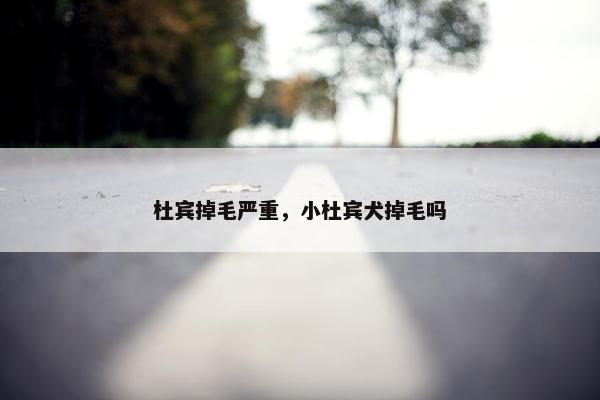 杜宾掉毛严重，小杜宾犬掉毛吗