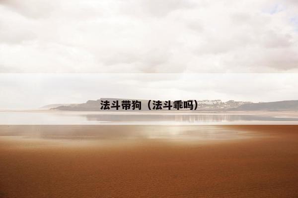 法斗带狗（法斗乖吗）