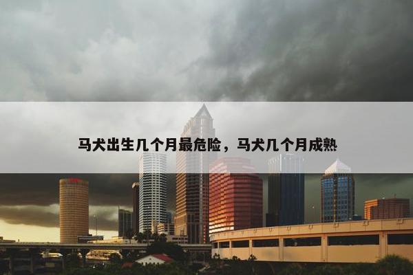 马犬出生几个月最危险，马犬几个月成熟
