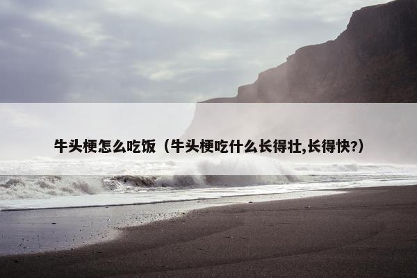 牛头梗怎么吃饭（牛头梗吃什么长得壮,长得快?）