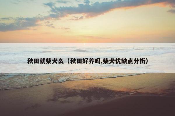 秋田就柴犬么（秋田好养吗,柴犬优缺点分析）