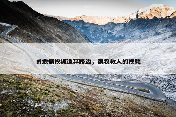 勇敢德牧被遗弃路边，德牧救人的视频