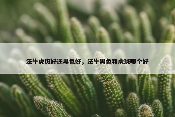 法牛虎斑好还黑色好，法牛黑色和虎斑哪个好