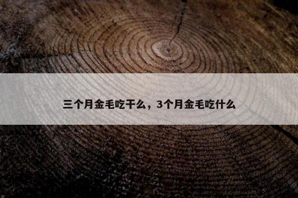 三个月金毛吃干么，3个月金毛吃什么