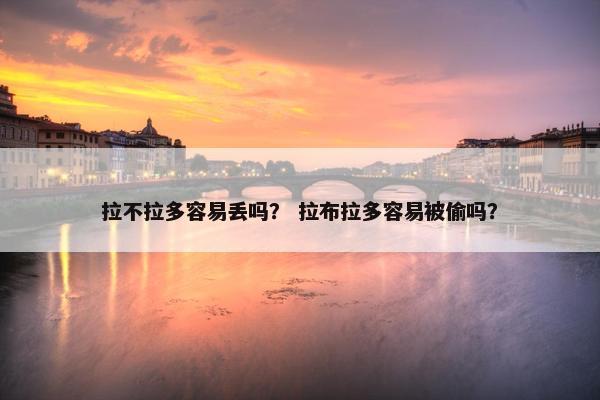 拉不拉多容易丢吗？ 拉布拉多容易被偷吗？
