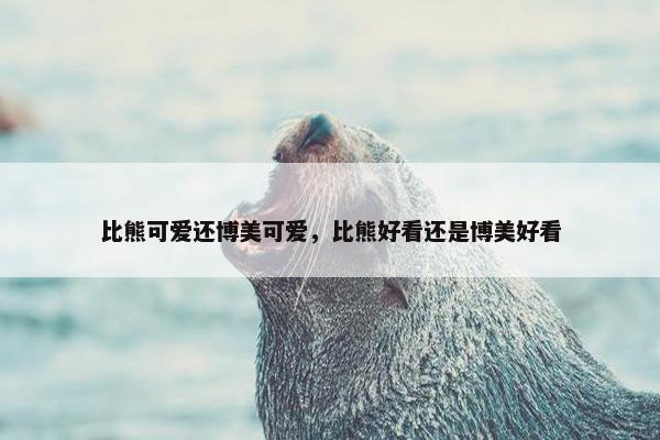 比熊可爱还博美可爱，比熊好看还是博美好看