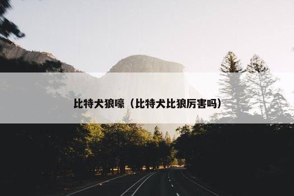 比特犬狼嚎（比特犬比狼厉害吗）