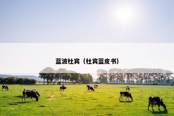 蓝波杜宾（杜宾蓝皮书）