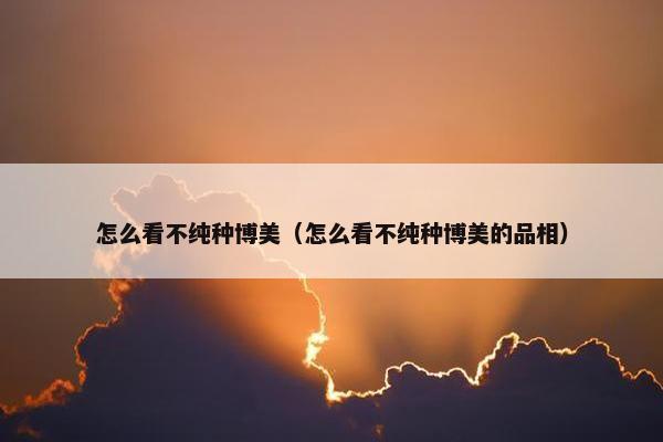 怎么看不纯种博美（怎么看不纯种博美的品相）