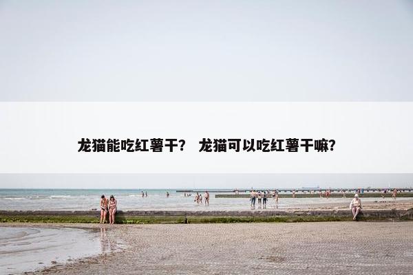 龙猫能吃红薯干？ 龙猫可以吃红薯干嘛？