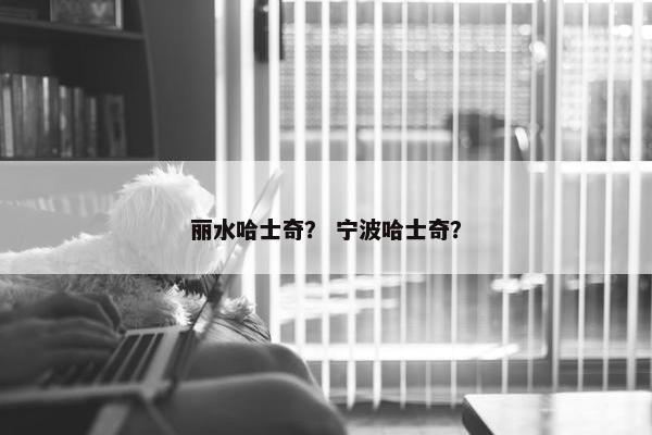 丽水哈士奇？ 宁波哈士奇？